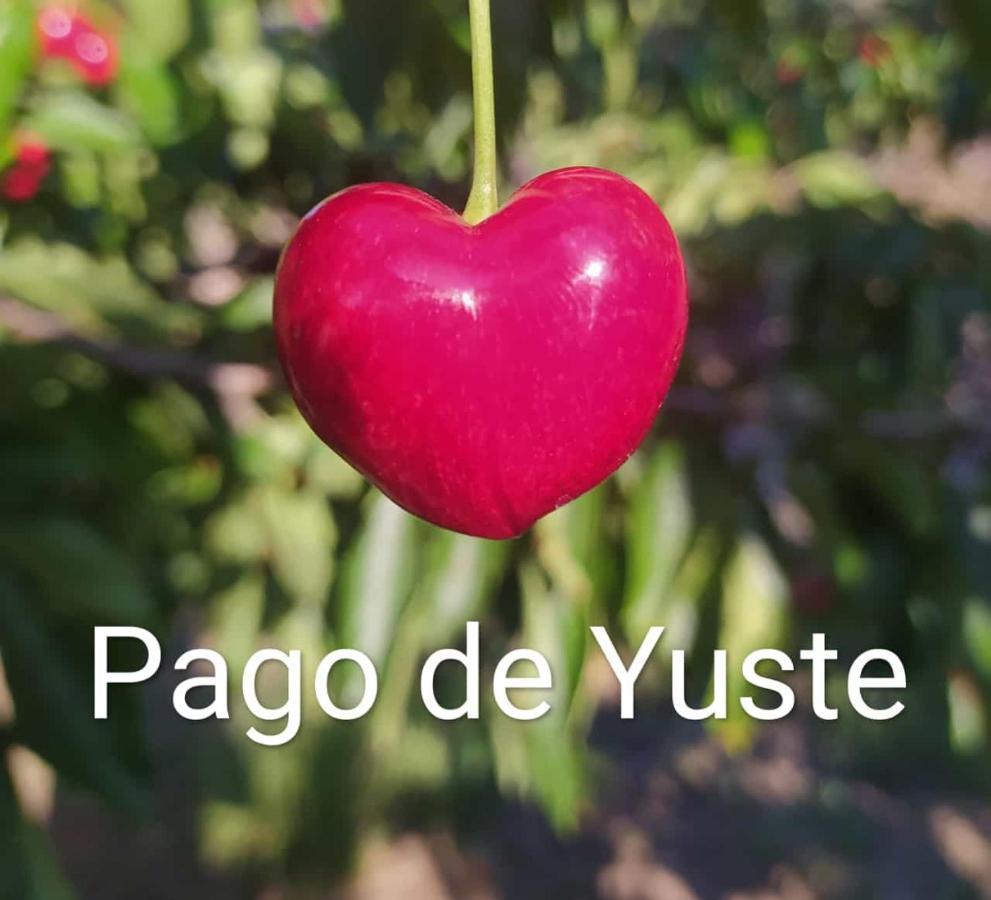 Pago De Yuste - Casa Rural Apartamentos كواكوس دي يستي المظهر الخارجي الصورة