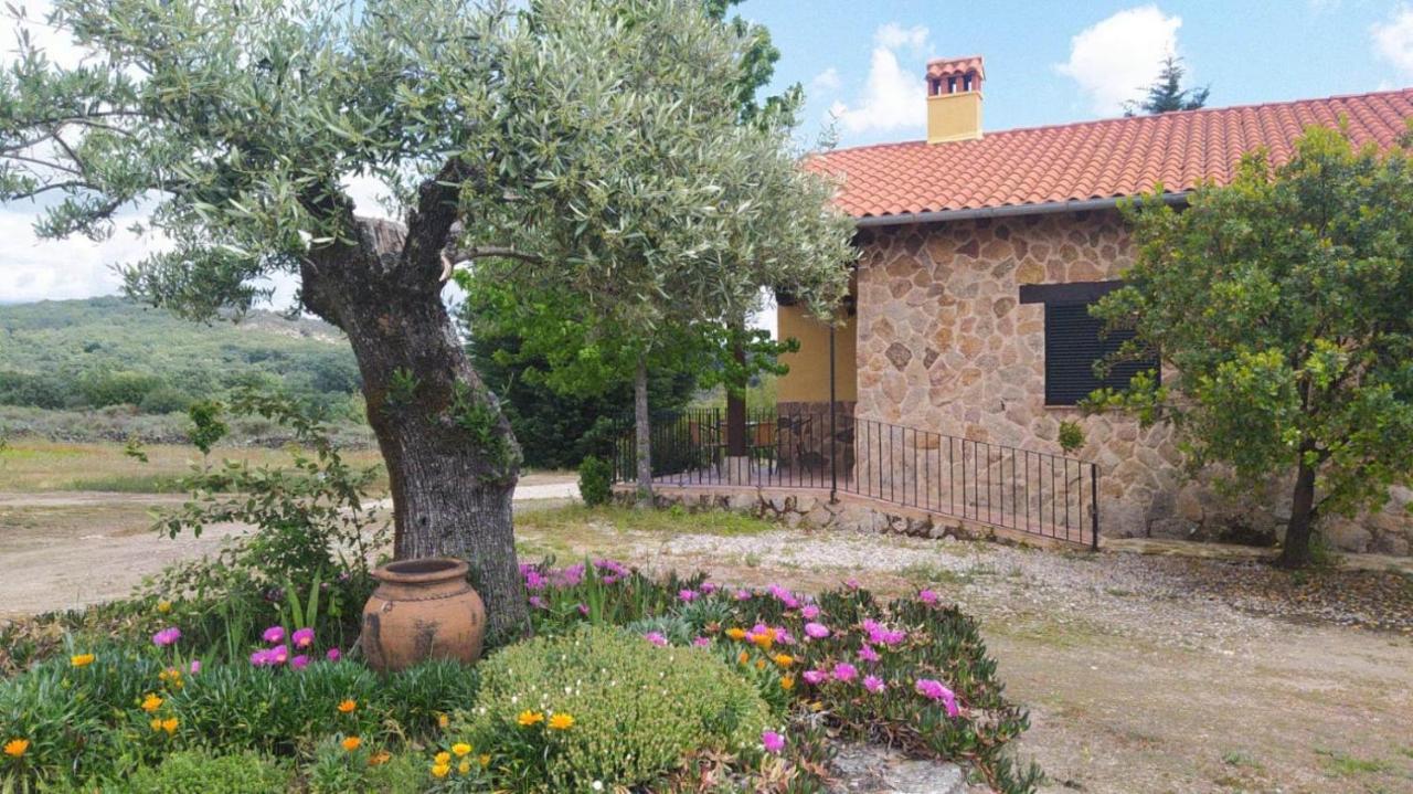 Pago De Yuste - Casa Rural Apartamentos كواكوس دي يستي المظهر الخارجي الصورة