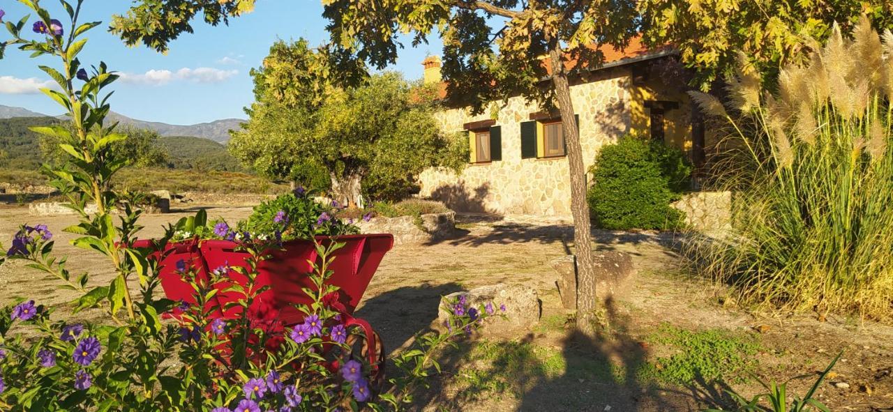 Pago De Yuste - Casa Rural Apartamentos كواكوس دي يستي المظهر الخارجي الصورة